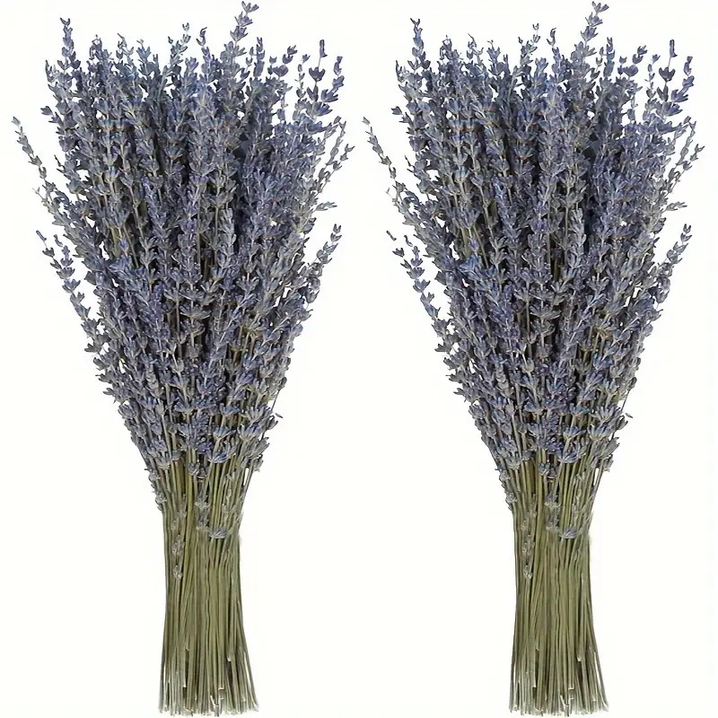 Dried Flower Bunch - 200 pièces/lot de fleurs de lavande