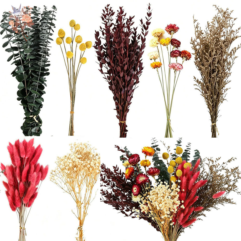 Florist Supply Bulk - Ensemble de fleurs séchées en vrac,