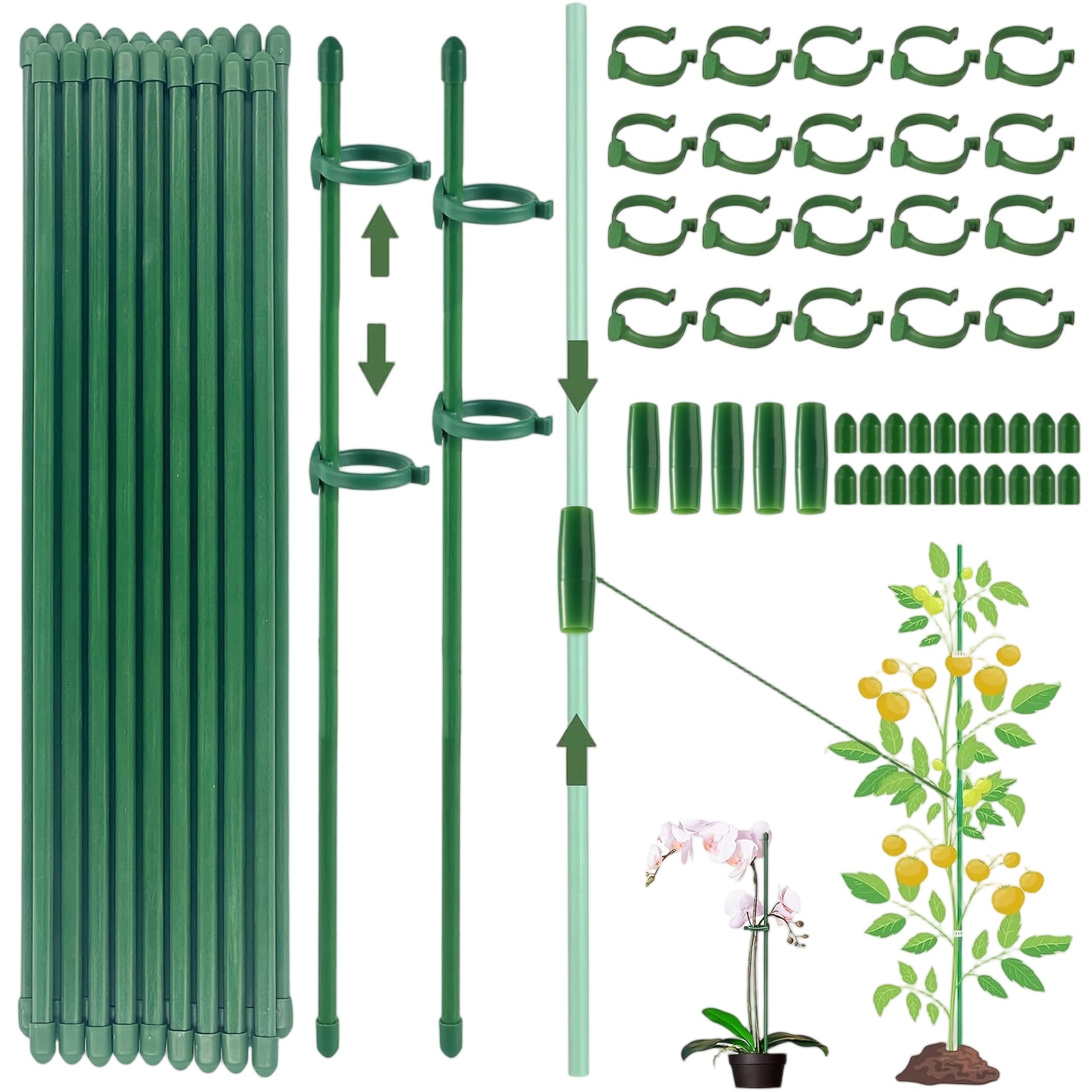Florist Supply Bulk - Supports de plantes, tuteurs pour arbustes