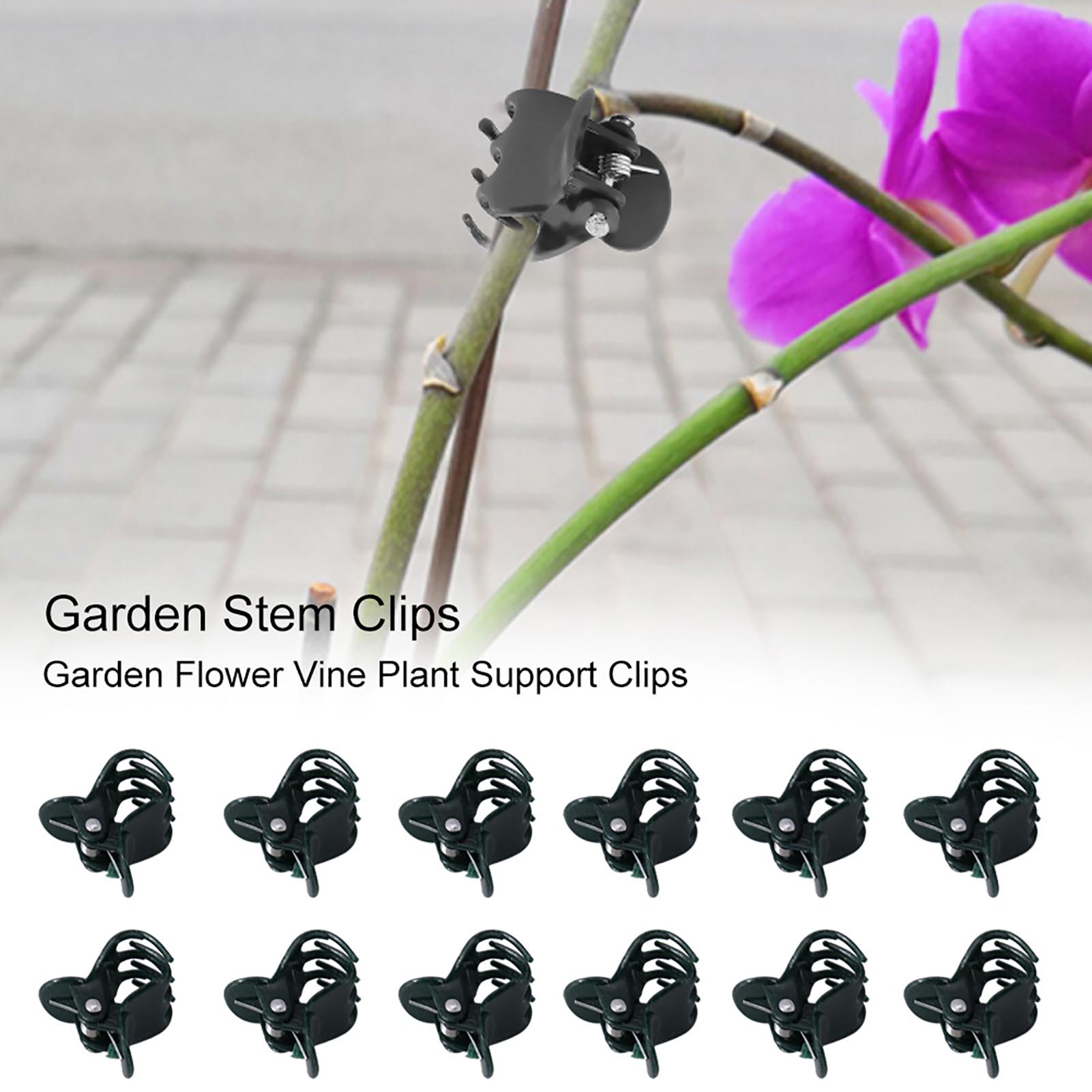 Florist Supply Bulk - Mini pinces pour plantes orchidées, 100