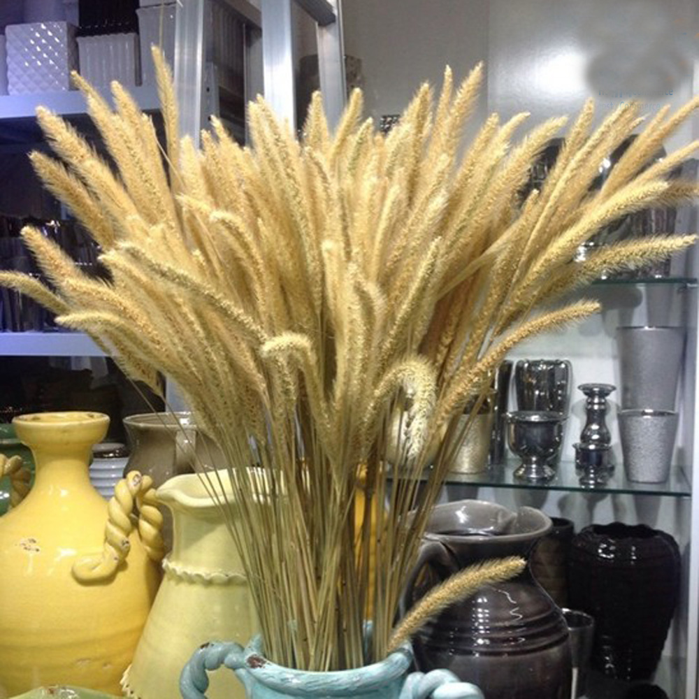 Dried Flower Bunch - 200 pièces naturel séché Lagurus ovatus