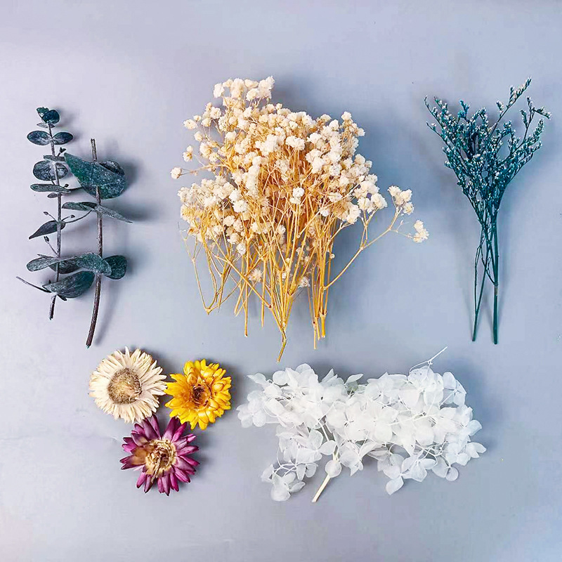 Dried Flower Bunch - Ensemble de fleurs séchées multiples, 1