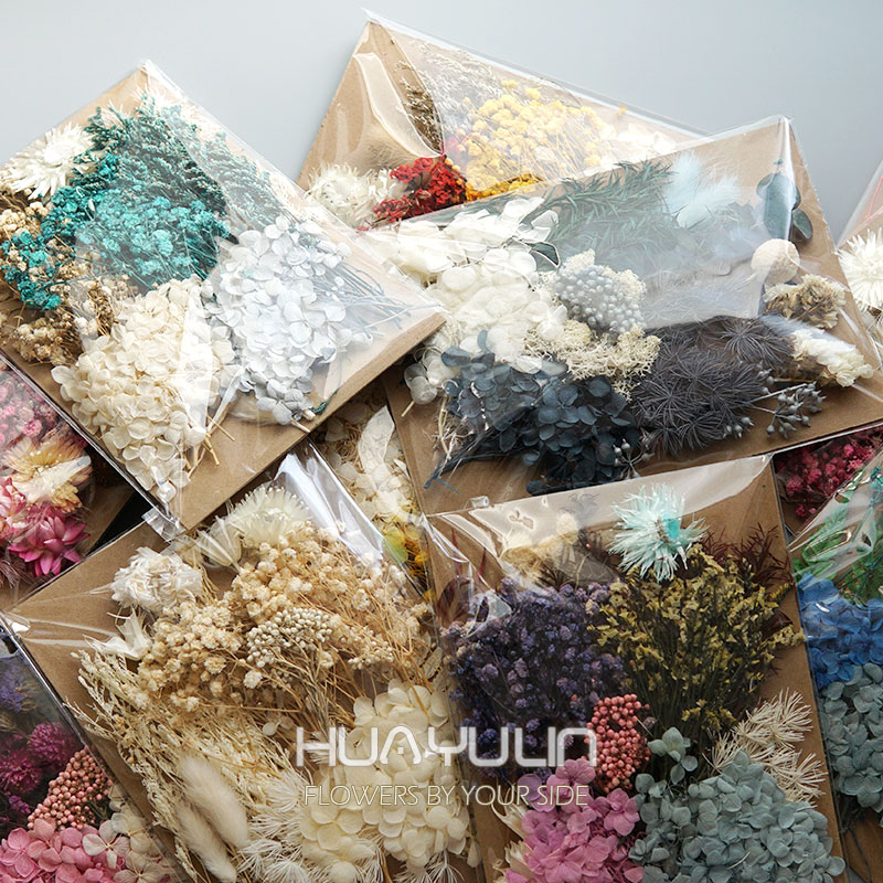 Dried Flower Bunch - 1 paquet de plantes artificielles séchées,