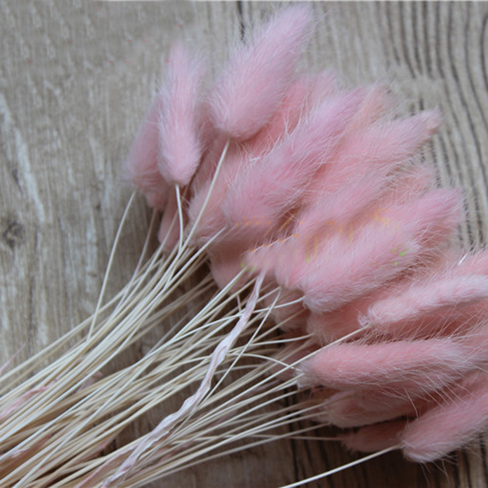 50pcs bouquets de fleurs natur - Dried Flower Bunch avis et prix