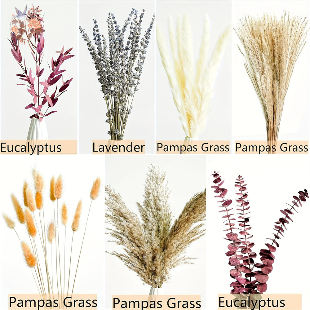 Bouquet de fleurs de feuilles  - Dried Flower Bunch avis et prix