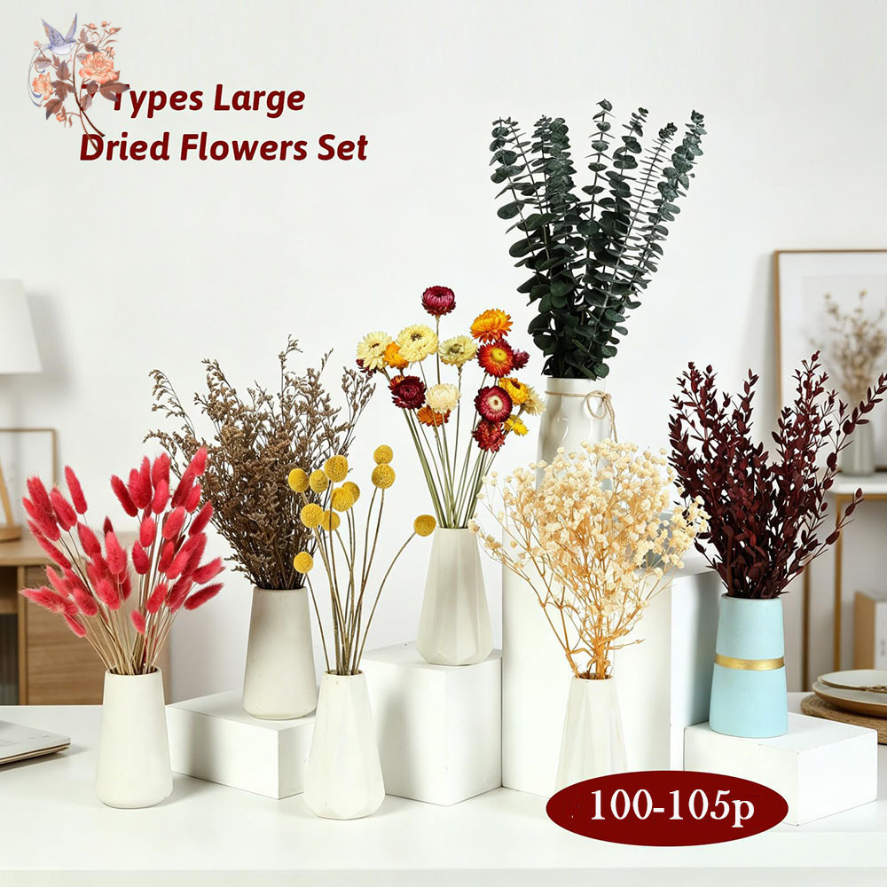 Ensemble de fleurs séchées en  - Florist Supply Bulk avis et prix