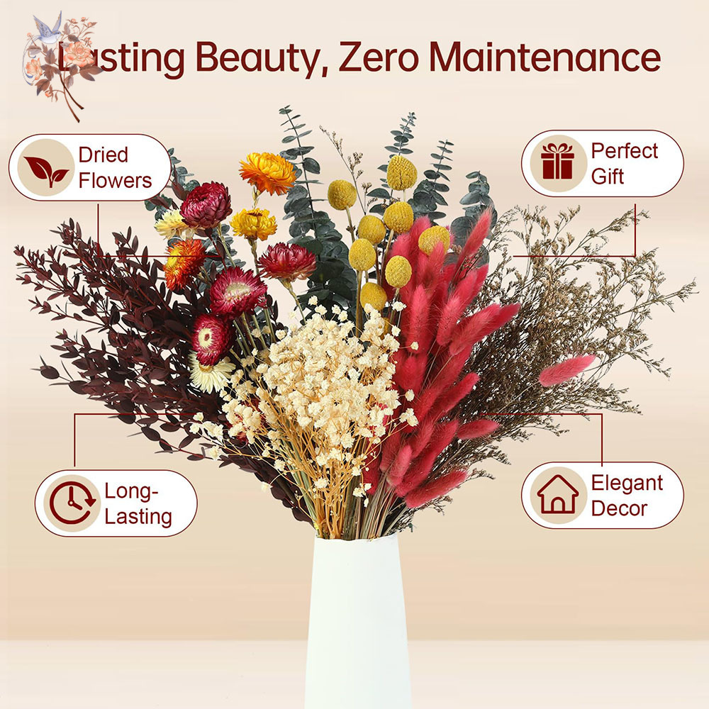 Ensemble de fleurs séchées en  - Florist Supply Bulk avis et prix