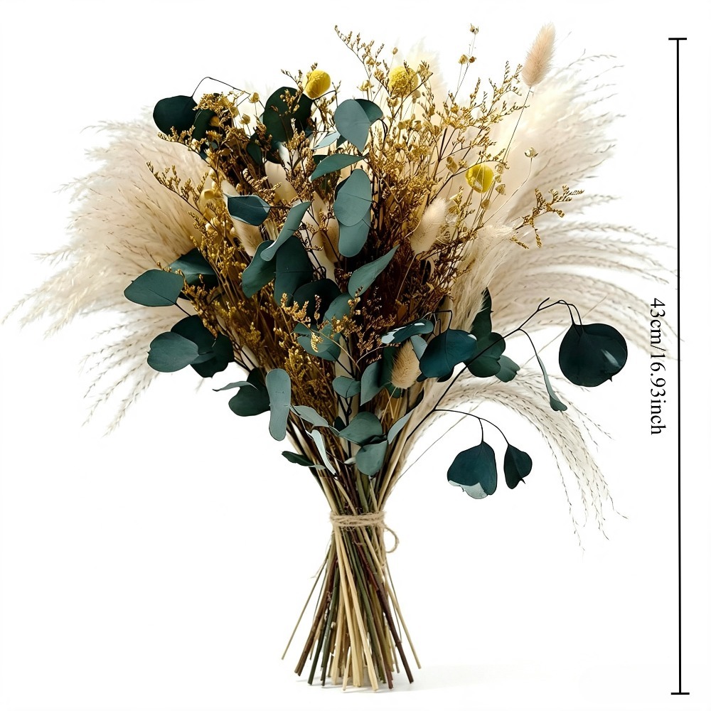 Bouquet d'herbe de pampa séché - Eucalyptus Preserved avis et prix