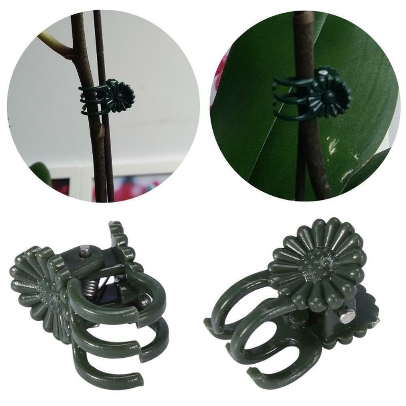 50 pinces de jardinage vert fo - Florist Supply Bulk avis et prix