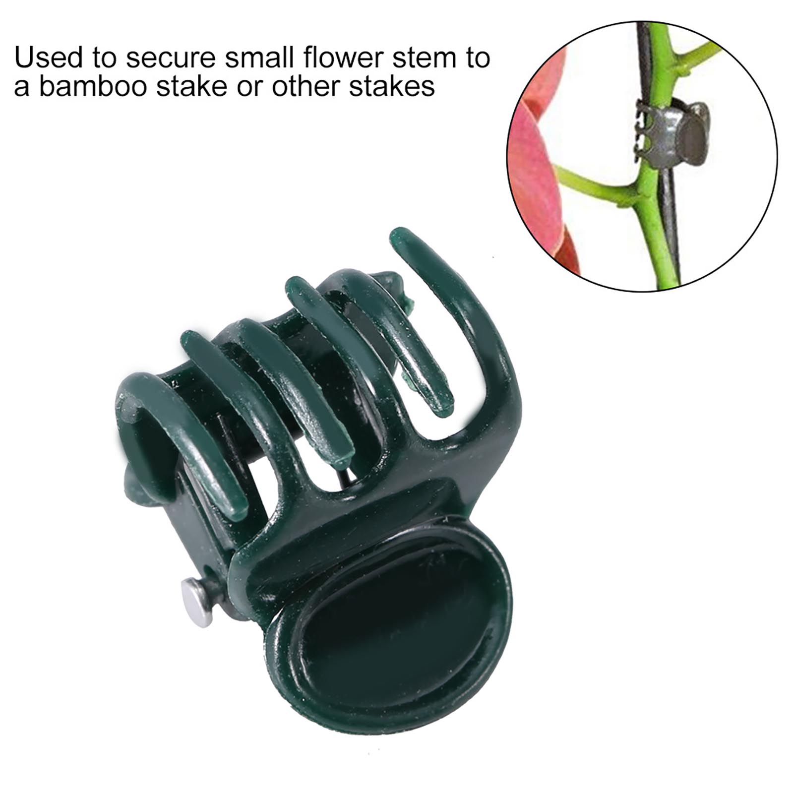 Mini pinces pour plantes orchi - Florist Supply Bulk avis et prix