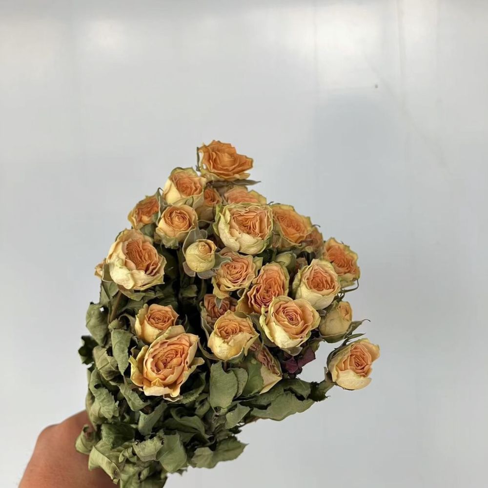 Vrais roses séchées, bouquet d - Dried Flower Bunch avis et prix