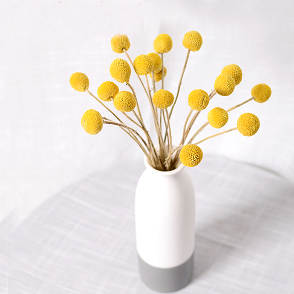 Bouquets de fleurs Craspedia s - Dried Flower Bunch avis et prix