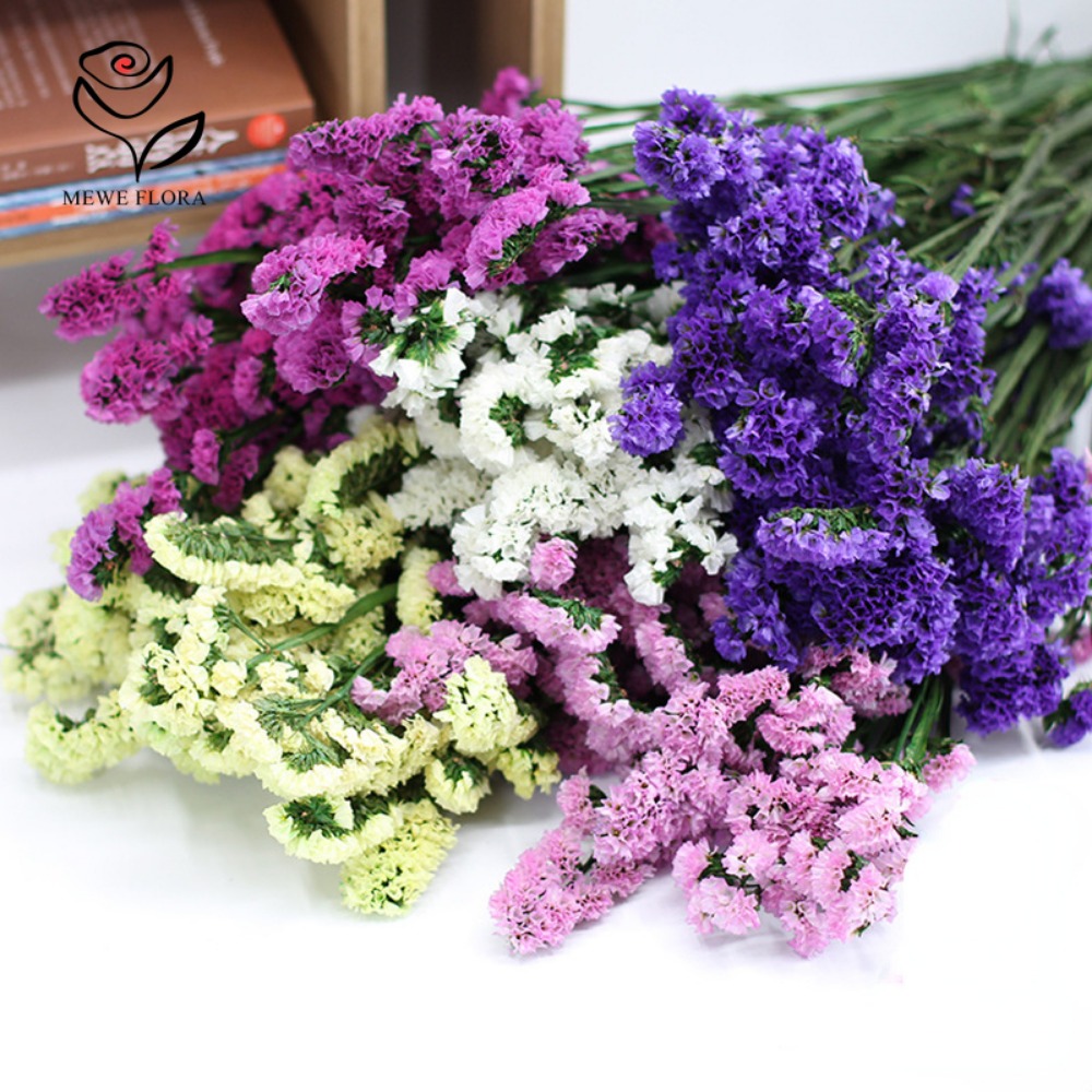 Fleurs Parfumées vaccées de 10 - Dried Flower Bunch avis et prix