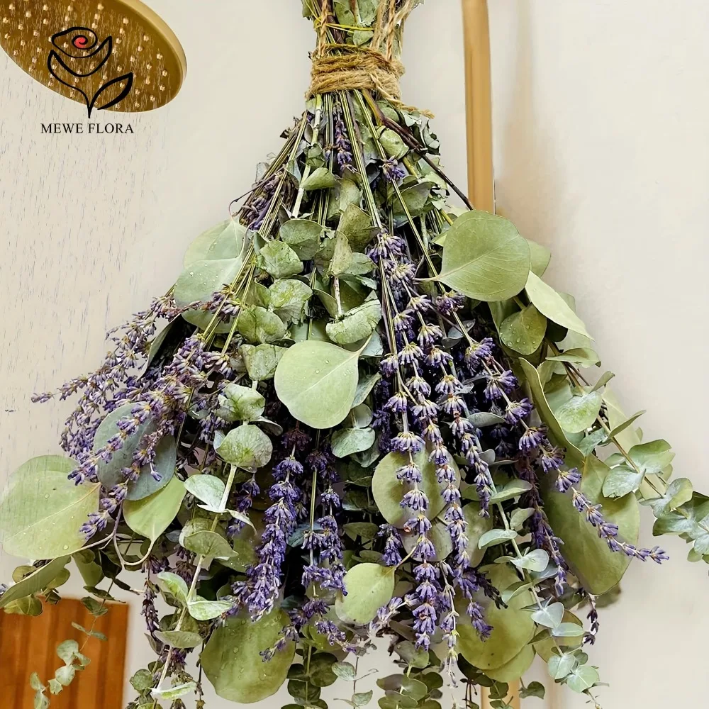 Fleurs séchées à l'aide de feu - Eucalyptus Preserved avis et prix