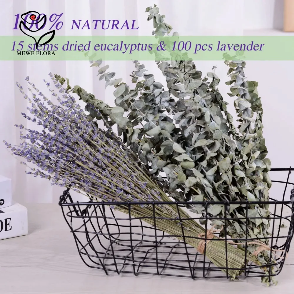 Fleurs séchées à l'aide de feu - Eucalyptus Preserved avis et prix