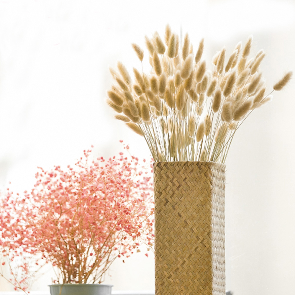 200 pièces naturel séché Lagur - Dried Flower Bunch avis et prix