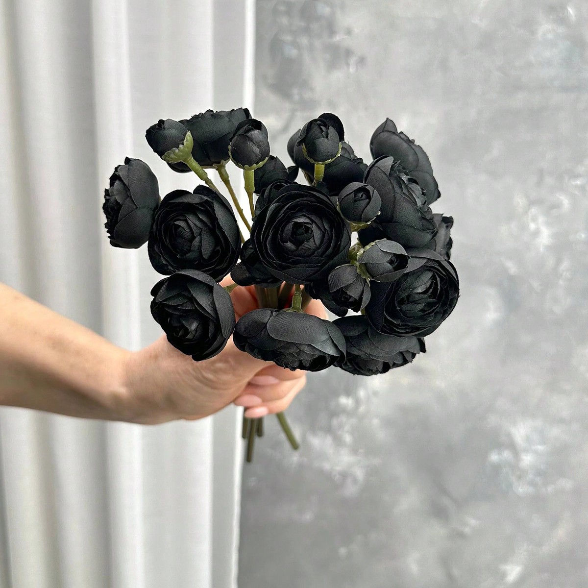 Mini Ranunculus noir, fleur ar - Dried Flower Bunch avis et prix