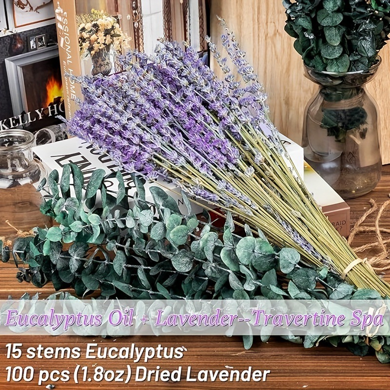 Bouquet Séché de Lavande et d' - Eucalyptus Preserved avis et prix