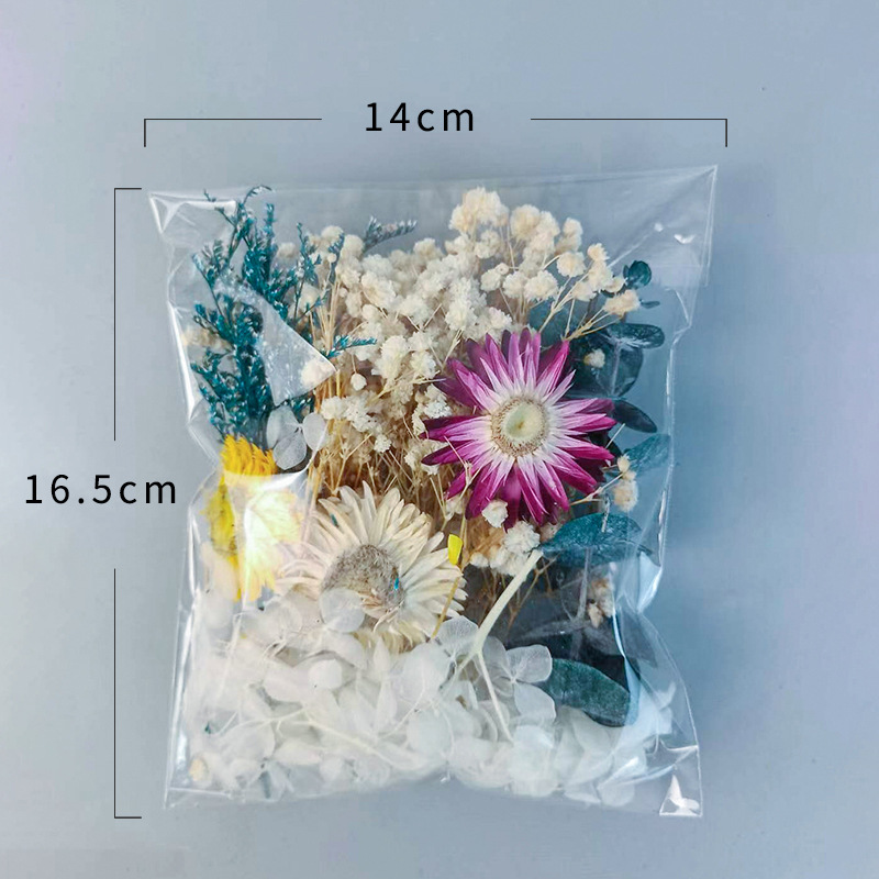 Ensemble de fleurs séchées mul - Dried Flower Bunch avis et prix