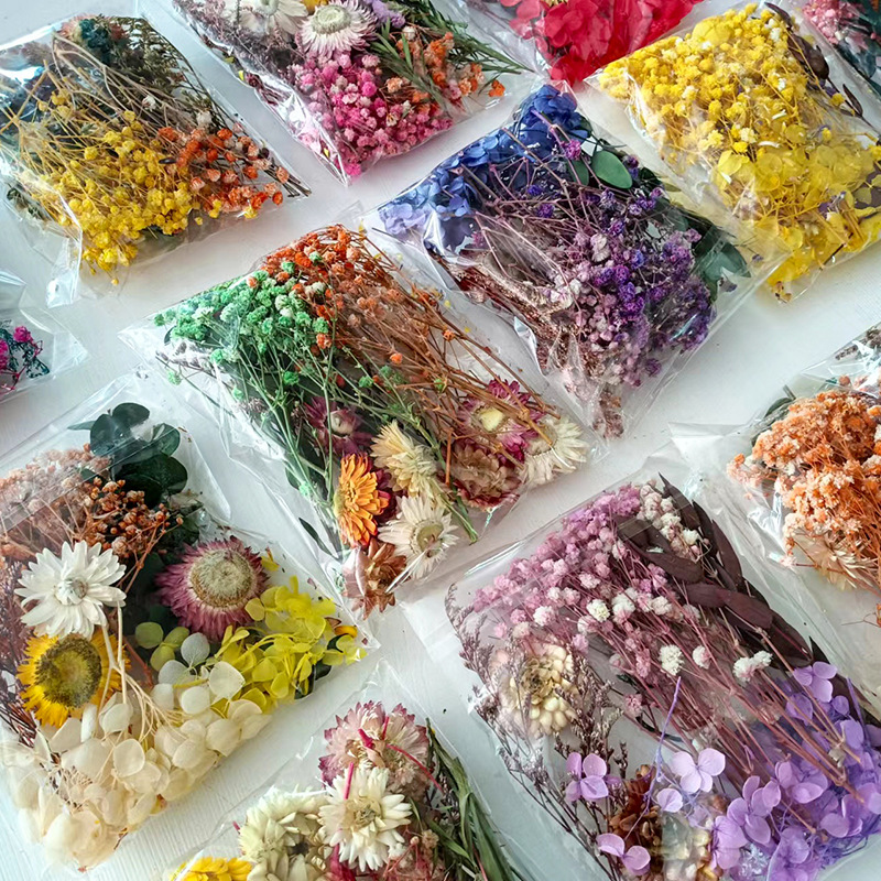 Ensemble de fleurs séchées mul - Dried Flower Bunch avis et prix
