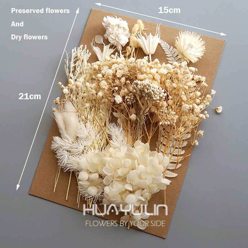 1 paquet de plantes artificiel - Dried Flower Bunch avis et prix