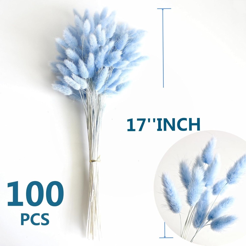 100 pièces bleu lièvre-queue h - Eucalyptus Preserved avis et prix