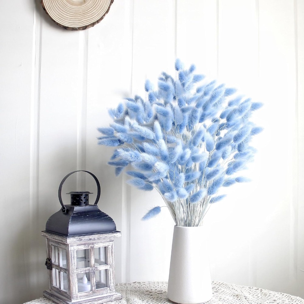 100 pièces bleu lièvre-queue h - Eucalyptus Preserved avis et prix
