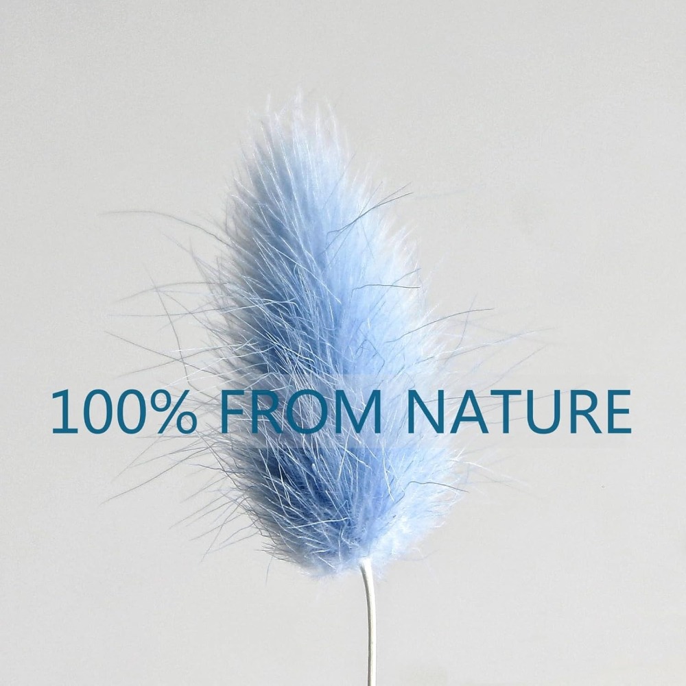 100 pièces bleu lièvre-queue h - Eucalyptus Preserved avis et prix