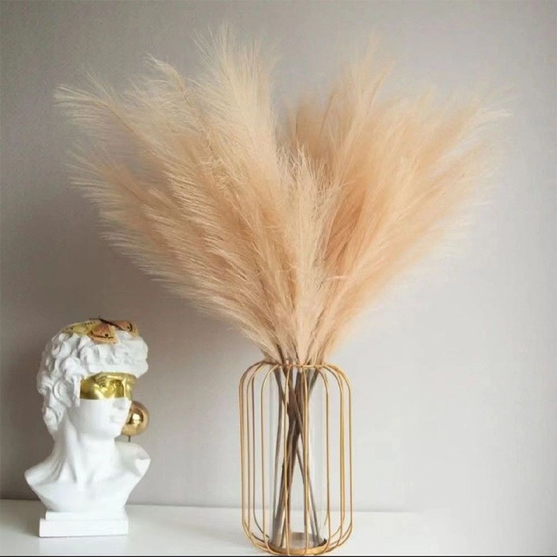 Branches de Pompass Artificiel - Florist Supply Bulk avis et prix