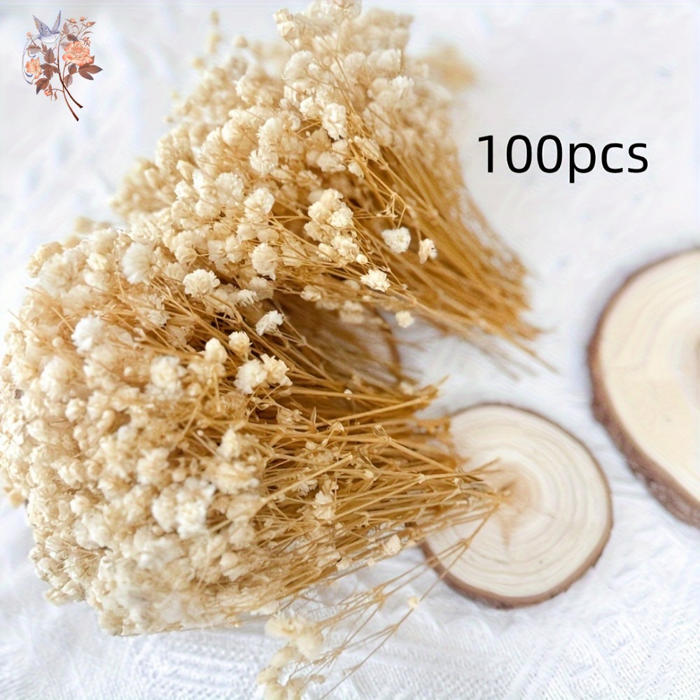 100 mini-fleurs séchées de gyp - Dried Flower Bunch avis et prix